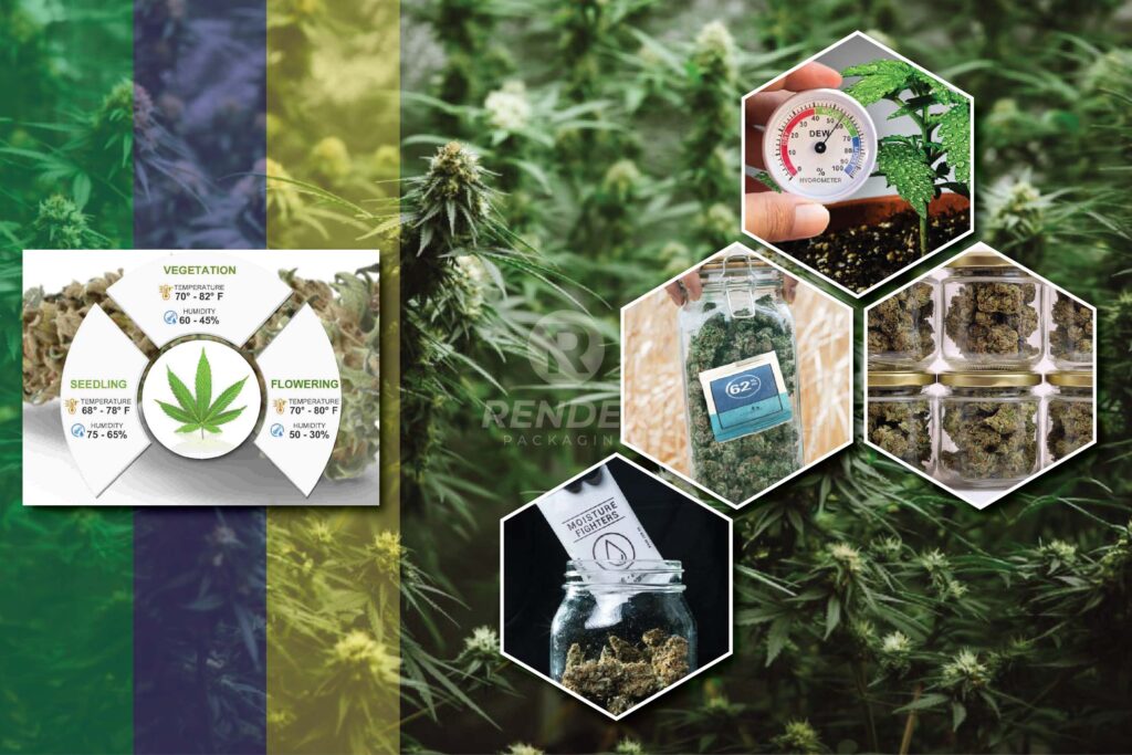 Humidity and its effects to marijuana and cannabis
